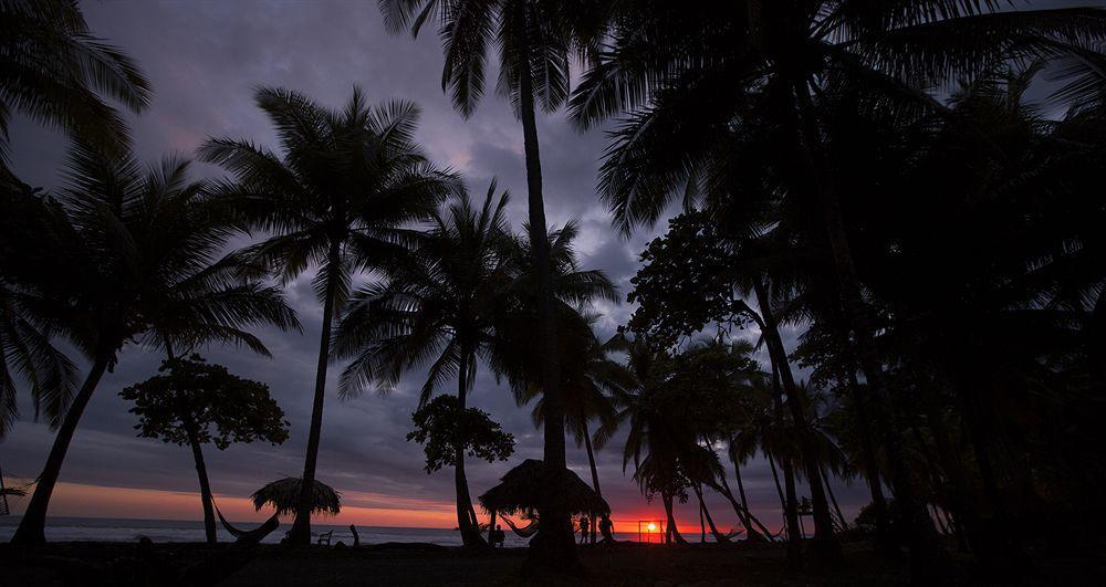 Clandestino Beach Resort Parrita Kültér fotó