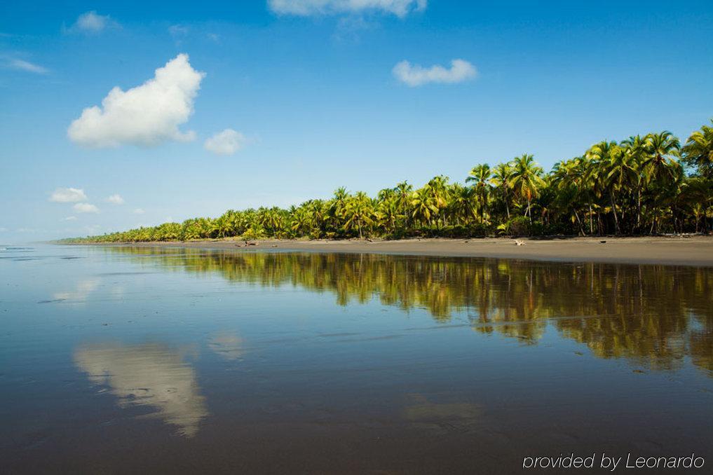 Clandestino Beach Resort Parrita Létesítmények fotó