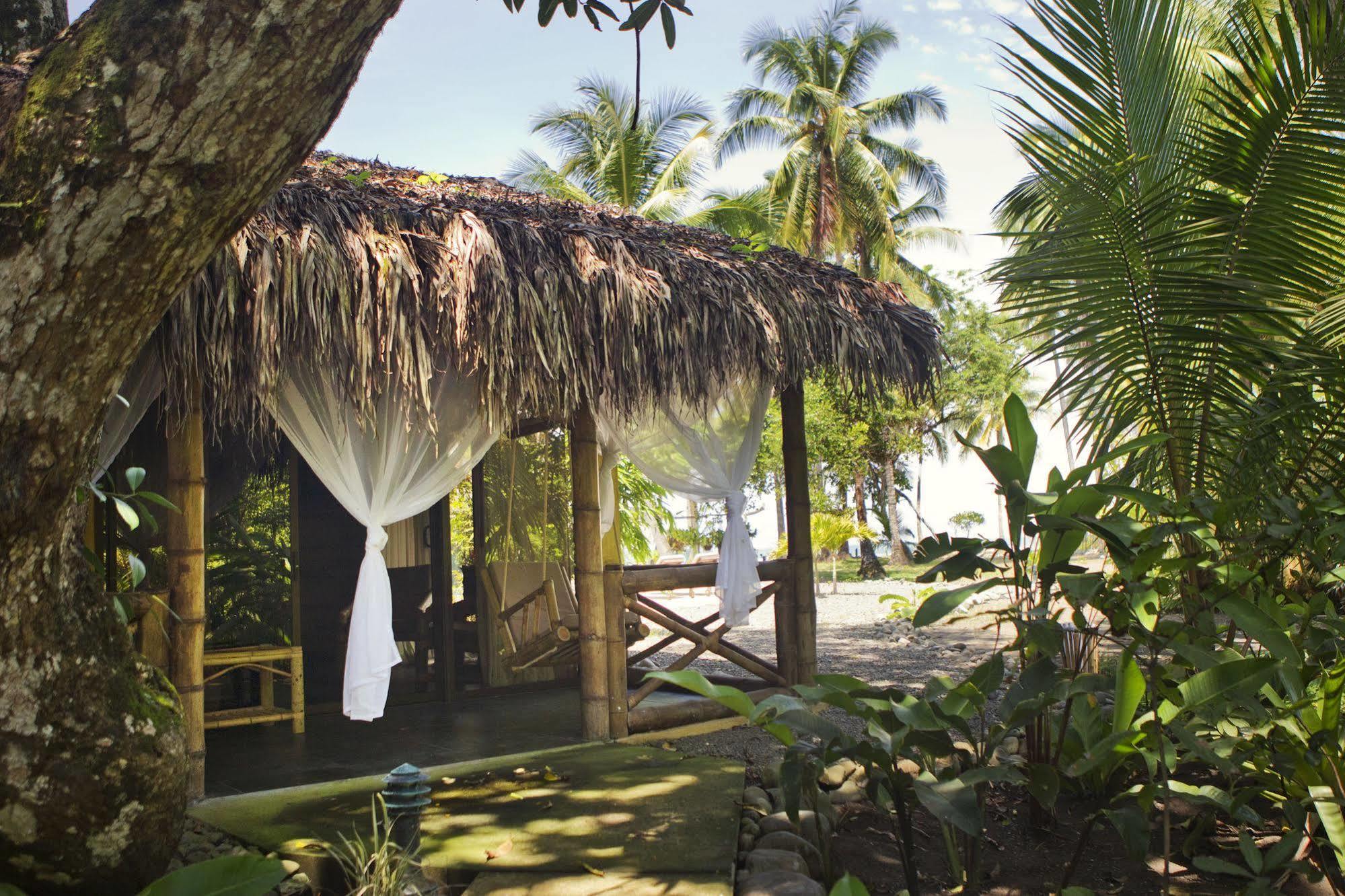 Clandestino Beach Resort Parrita Kültér fotó