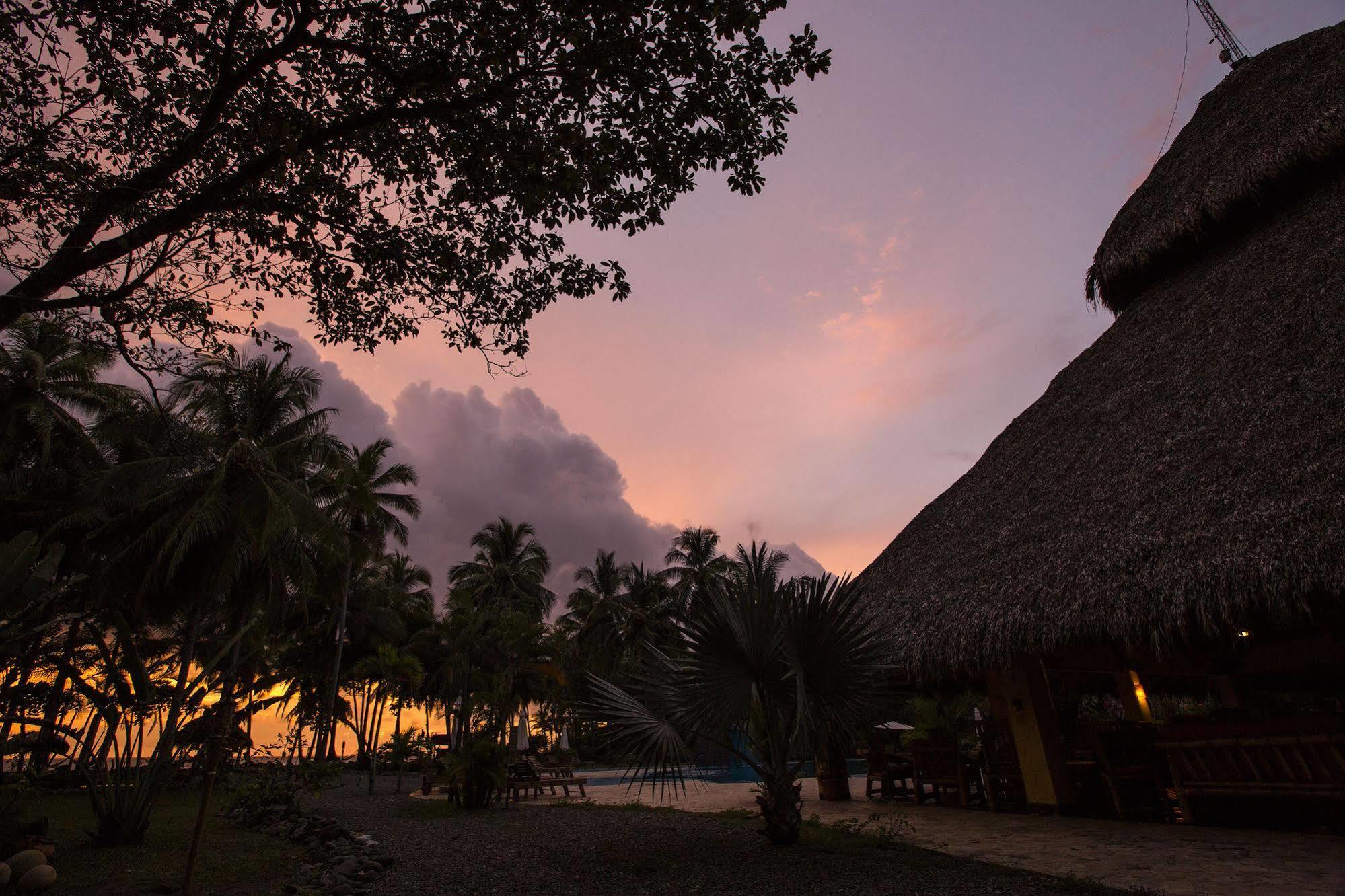 Clandestino Beach Resort Parrita Kültér fotó