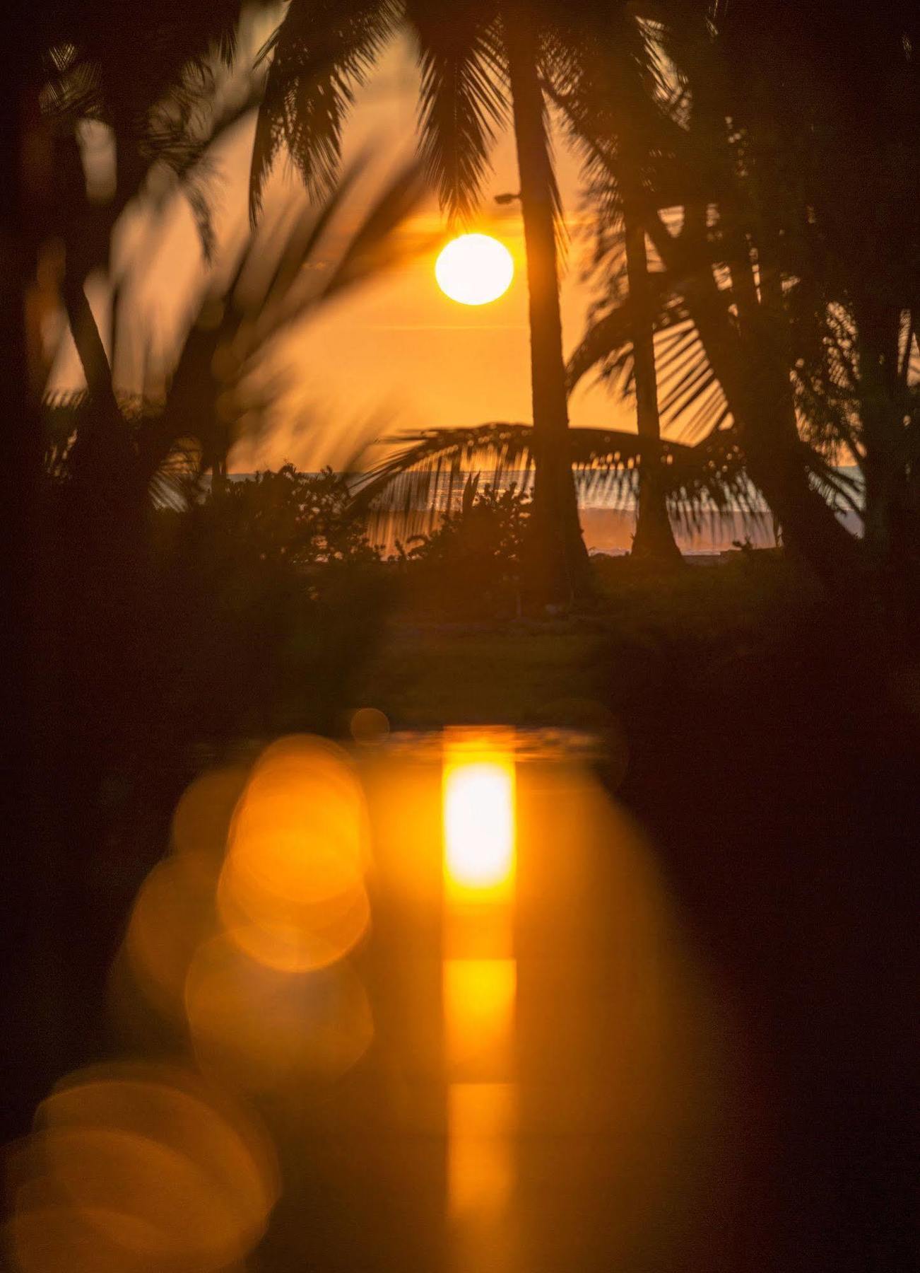 Clandestino Beach Resort Parrita Kültér fotó