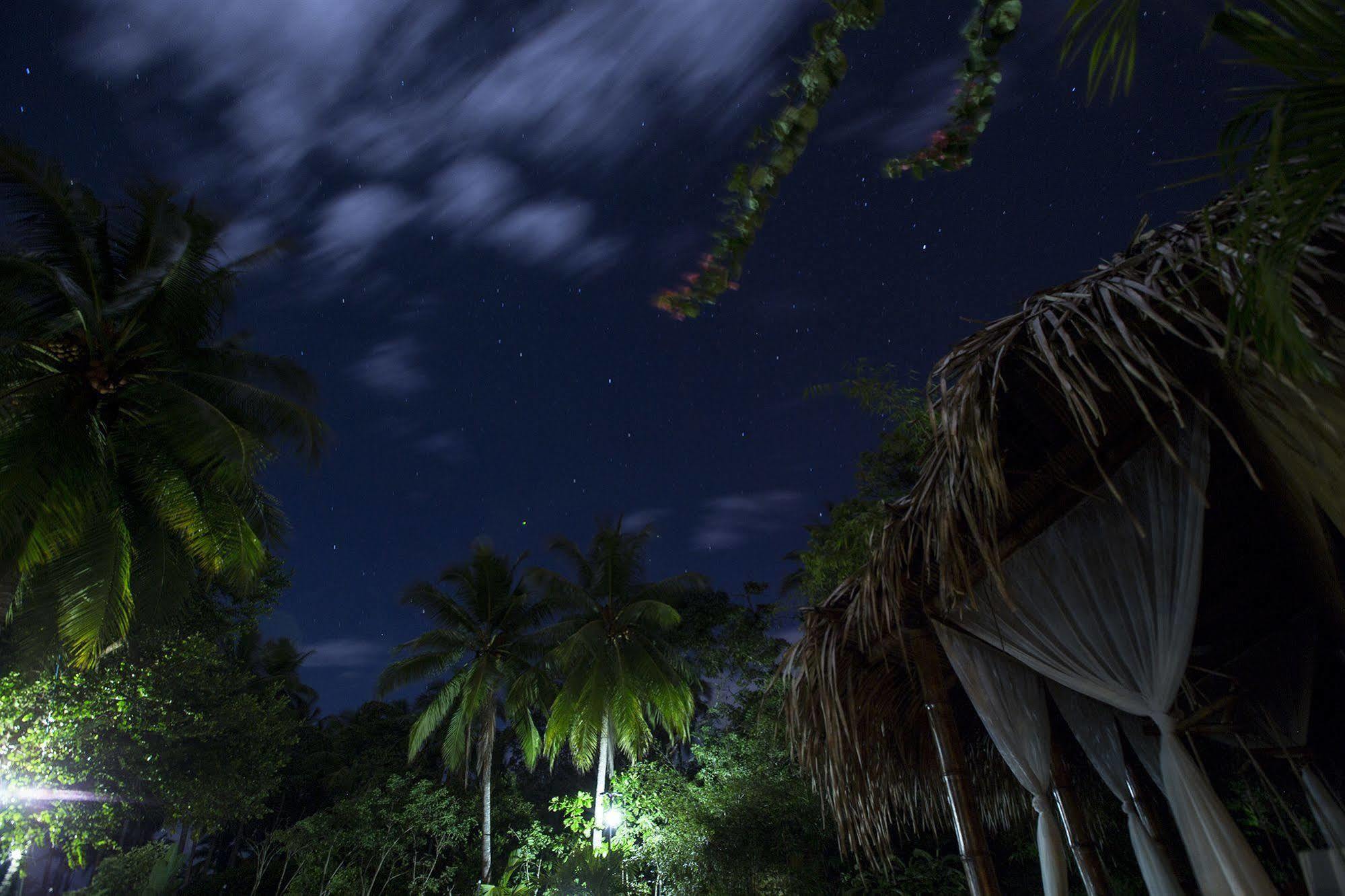 Clandestino Beach Resort Parrita Kültér fotó