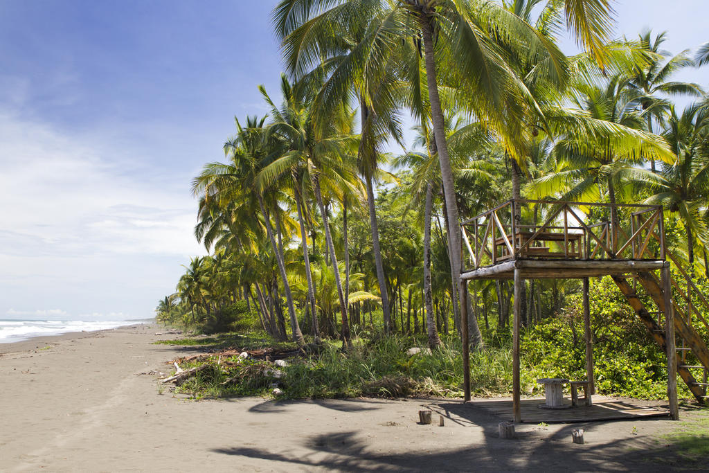 Clandestino Beach Resort Parrita Kültér fotó