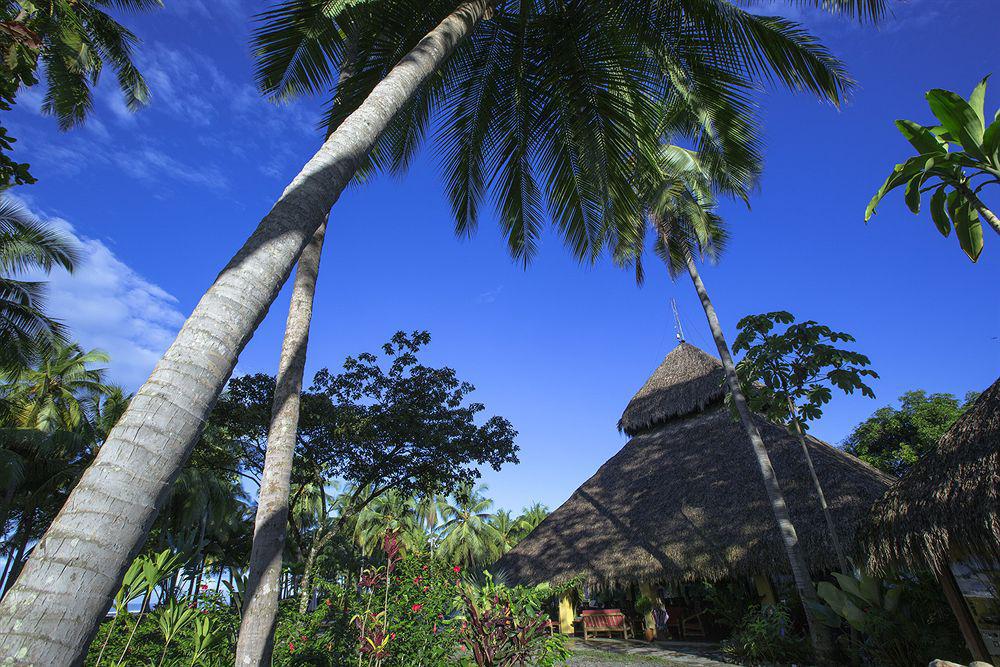 Clandestino Beach Resort Parrita Kültér fotó